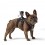 Supporto GoPro Fetch su cani per minicamera Hero