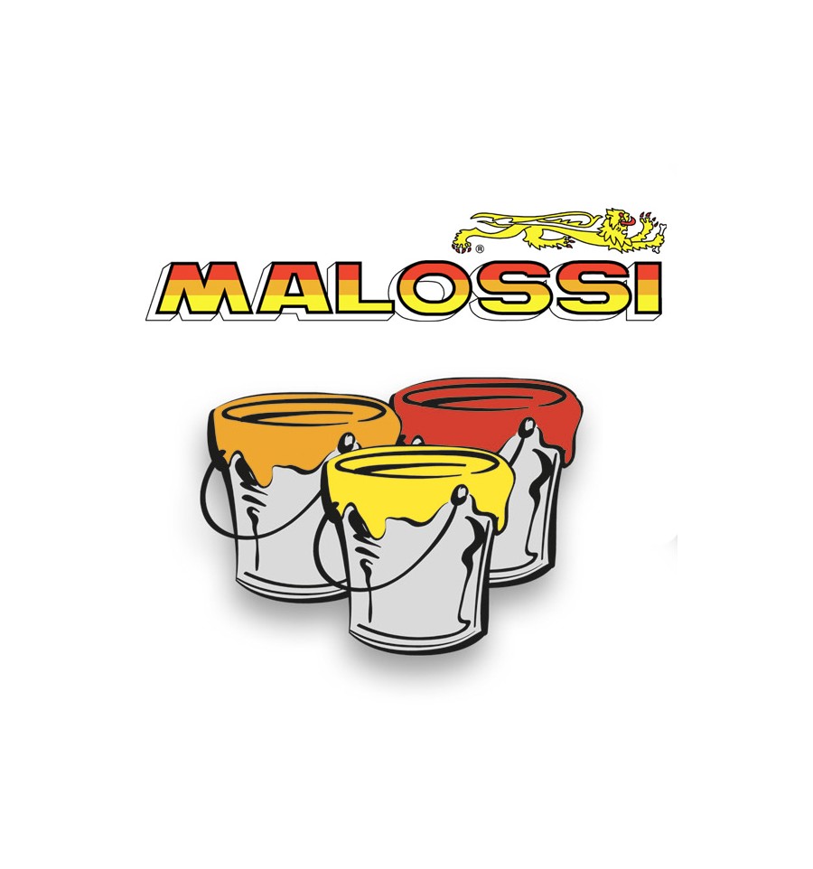 Kit vernici e adesivi Malossi per livrea scooter Trofeo ufficiale -  Magazzini Rossi