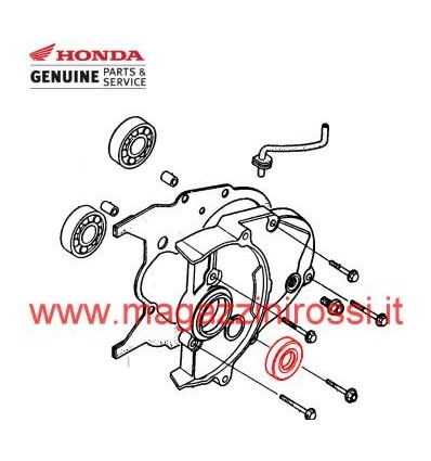 Meccanica - Paraolio scatola ingranaggi Honda 50cc Dio 