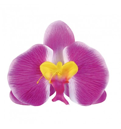 Orchidea viola serie Fiori da moto e scooter Tucano Urbano