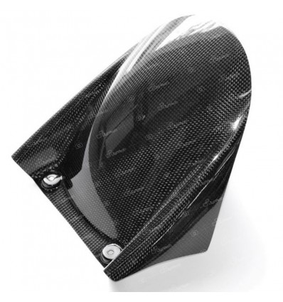 Parafango posteriore Lightech Carbonio lucido Per Aprilia RSV4 e Tuono V4 1000/1100