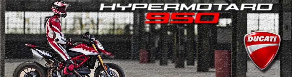 Vendita on-line accessori per Ducati Hypermotard 950