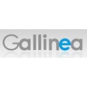 Gallinea